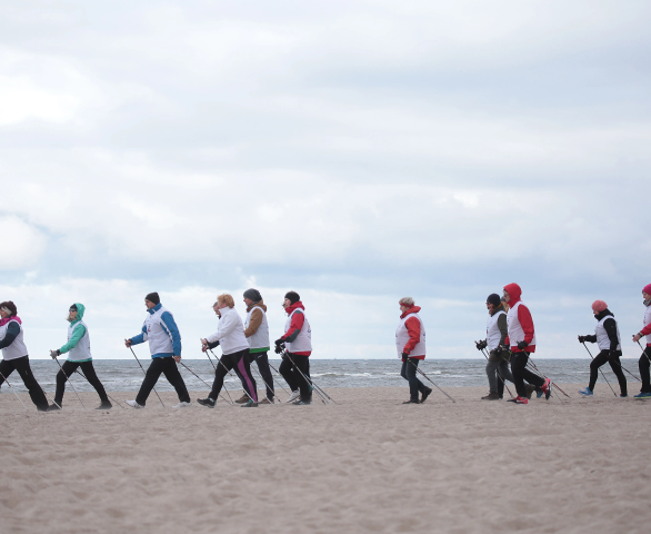 Health package with an individualized diet